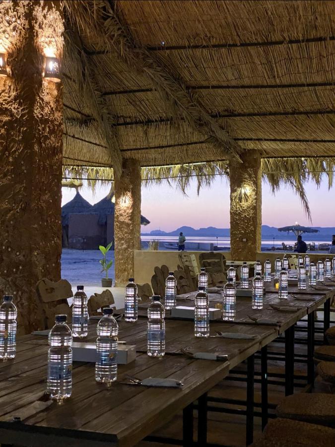 Taghaghien Island Resort シワ・オアシス エクステリア 写真